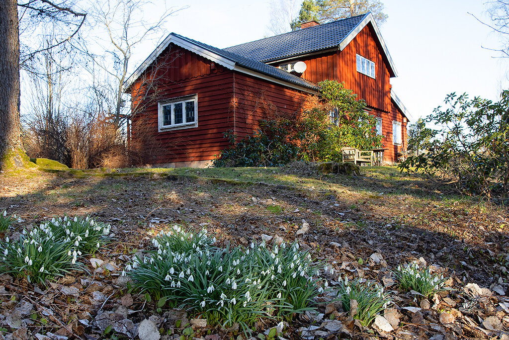 Säljarens bild Säljarens bild