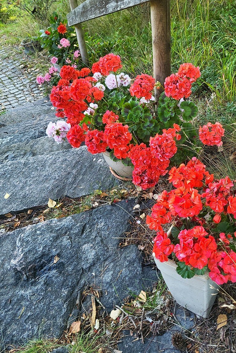 Säljarens bild Säljarens bild