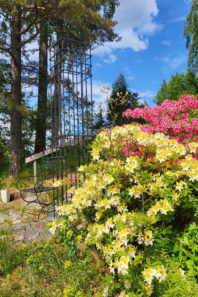 Säljarens bild Säljarens bild