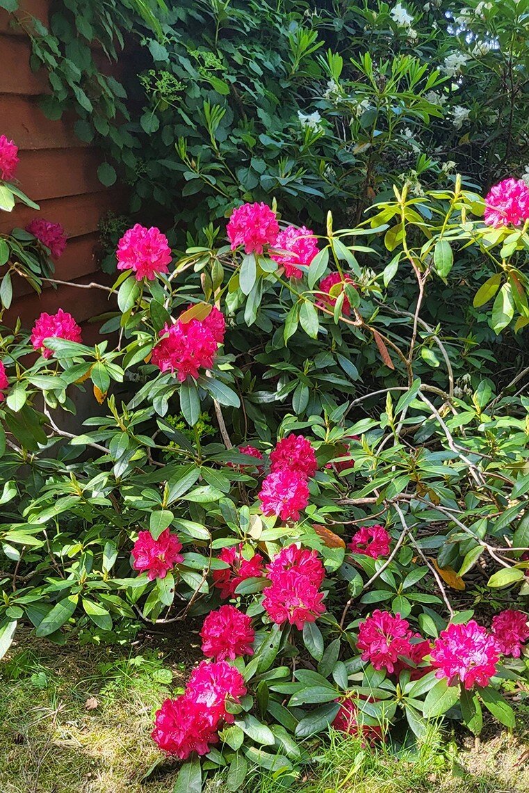 Säljarens bild Säljarens bild