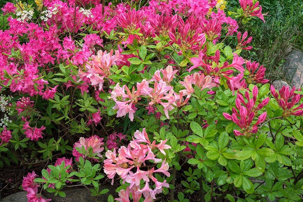 Säljarens bild Säljarens bild