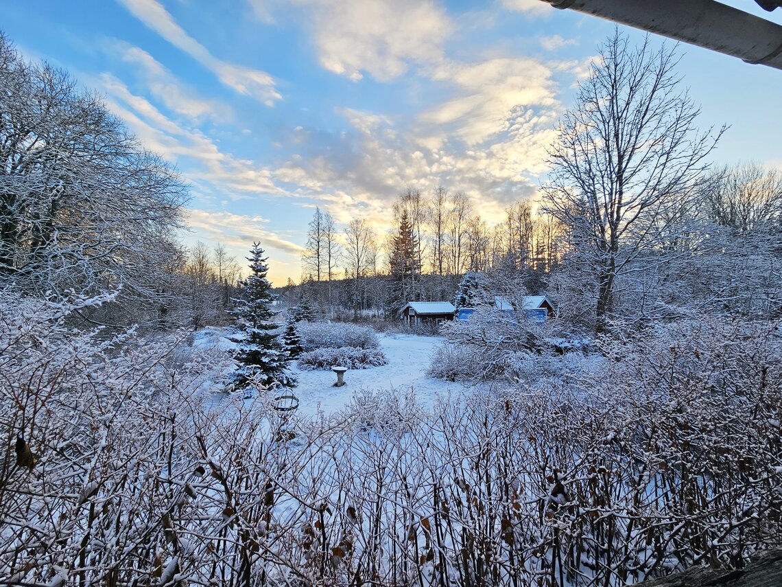 Utsikt från altanen Utsikt från altanen